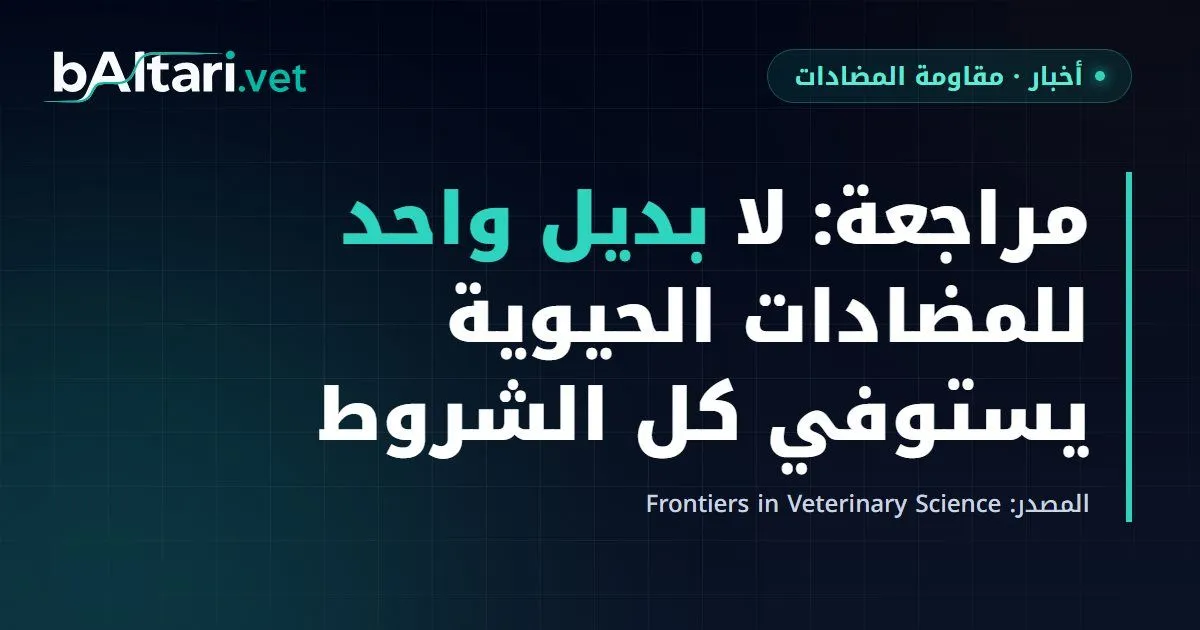 مراجعة من معهد الكويت للأبحاث العلمية: لا بديل واحد للمضادات الحيوية يستوفي كل الشروط في الإنتاج الحيواني