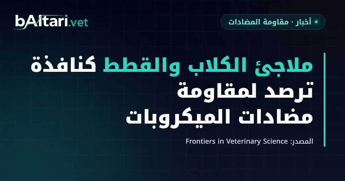 دراسة إماراتية: ملاجئ الكلاب والقطط كنافذة ترصد لمقاومة مضادات الميكروبات ضمن مقاربة الصحة الواحدة