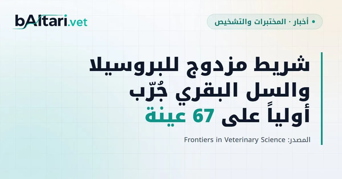 شريط تدفق جانبي مزدوج للبروسيلا والسل البقري طوّره باحثون صينيون، وجُرّب أولياً على 67 عينة مصل بقرية