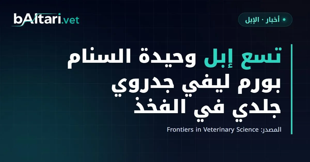 سلسلة حالات: تسع إبل وحيدة السنام بورم ليفي جدروي جلدي في الفخذ