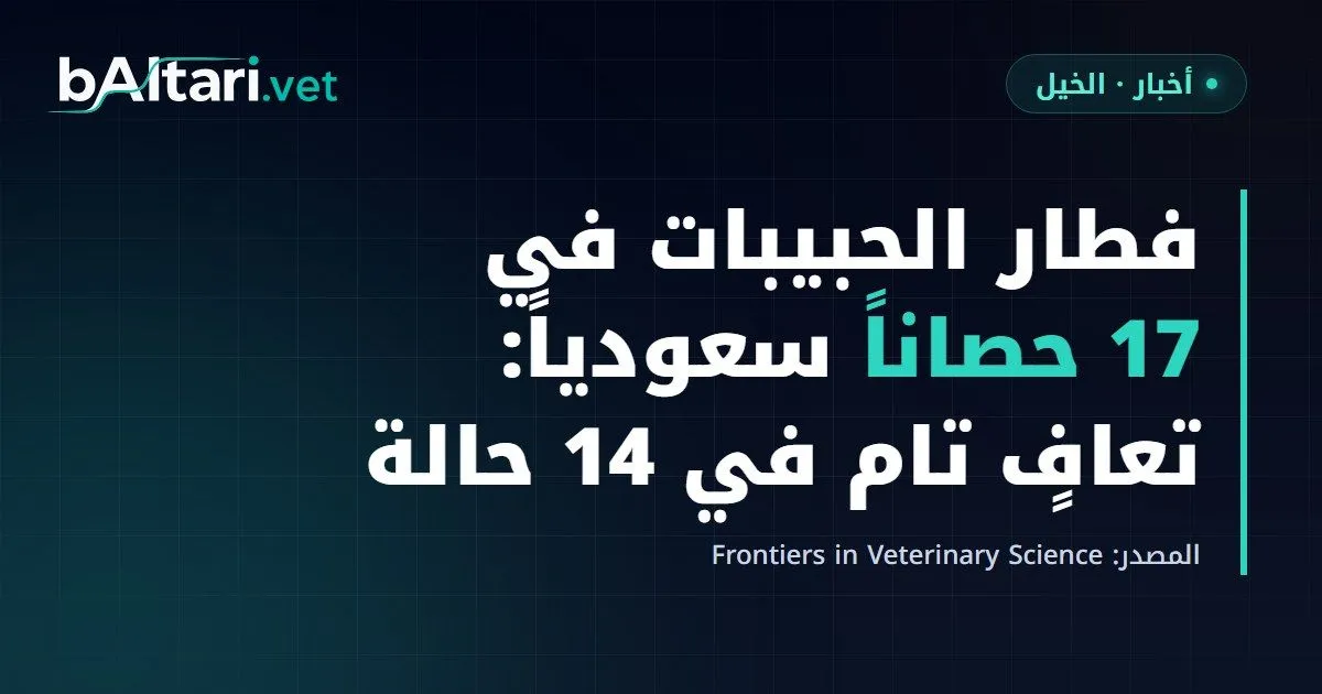 فطار الحبيبات القضيبي والقلفي في 17 حصاناً سعودياً: تعافٍ تام في 14 حالة وانتكاس في 3 بعد الاستئصال الجراحي