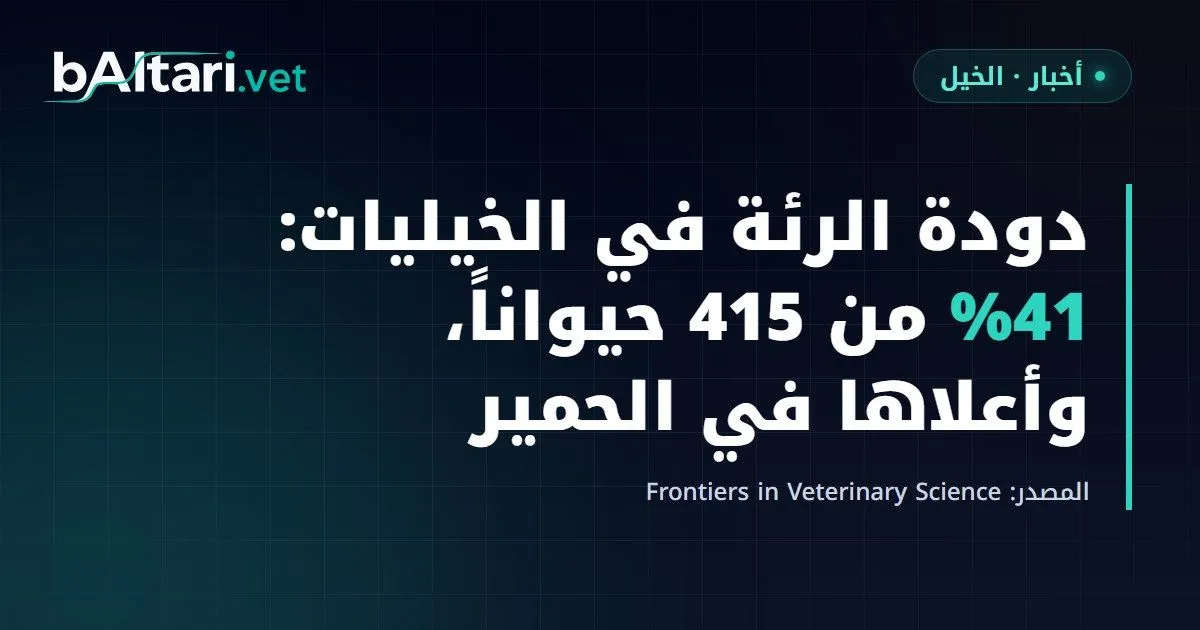 دودة الرئة في الخيليات بثلاث محافظات مصرية: 41% من 415 حيواناً، وأعلاها في الحمير
