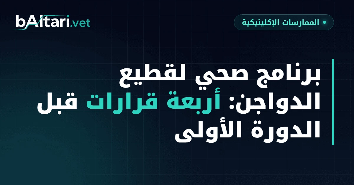 برنامج صحي لقطيع الدواجن: أربعة قرارات تُكتب قبل الدورة الأولى